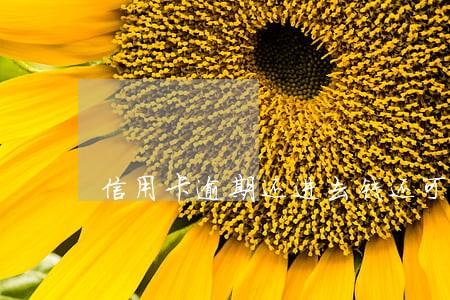 信用卡逾期还进去钱还可以用么 信用卡逾期还进去钱还可以用么