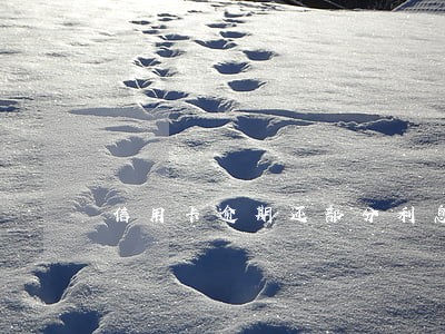 信用卡逾期还部分利息怎么算 信用卡逾期还部分利息怎么算