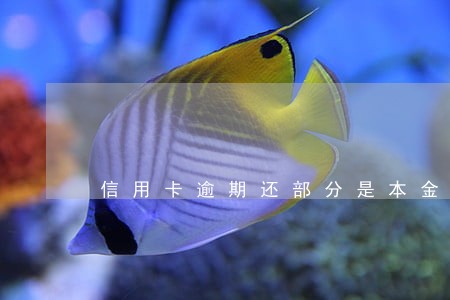 信用卡逾期还部分是本金吗