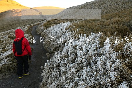 信用卡逾期还钱1天扣多少钱 信用卡逾期还钱1天扣多少钱