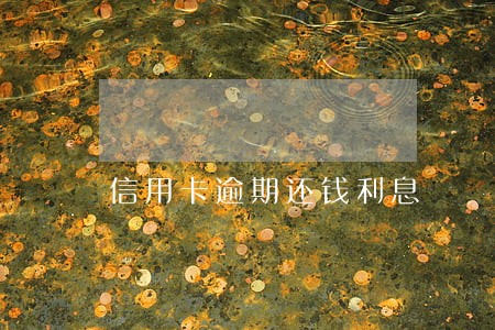 信用卡逾期还钱利息