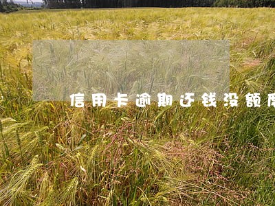 信用卡逾期还钱没额度