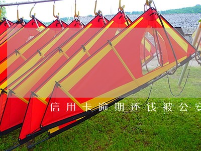 信用卡逾期还钱被公安立案 信用卡逾期还钱被公安立案