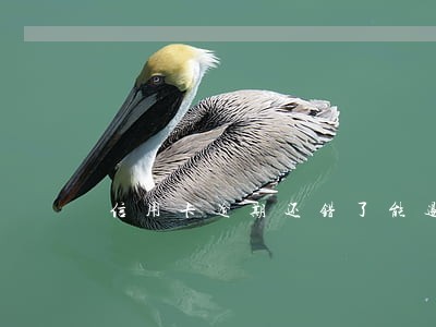 信用卡逾期还错了能退钱吗