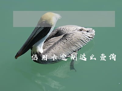 信用卡逾期这么查询