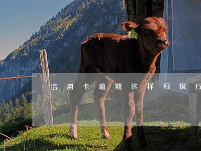 信用卡逾期这样和银行协商