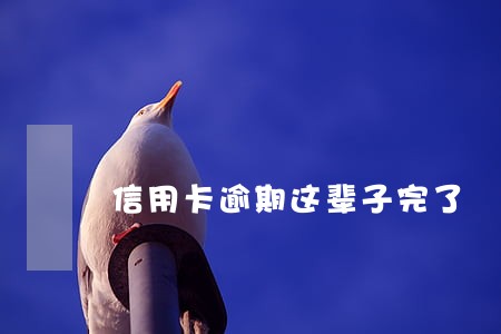 信用卡逾期这辈子完了 信用卡逾期这辈子完了