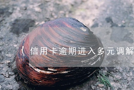 信用卡逾期进入多元调解 信用卡逾期进入多元调解