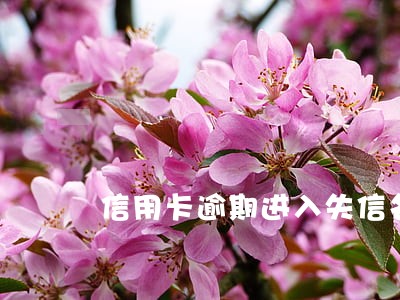 信用卡逾期进入失信名单 信用卡逾期进入失信名单