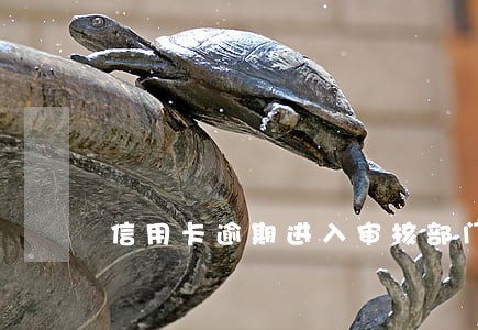 信用卡逾期进入审核部门 信用卡逾期进入审核部门