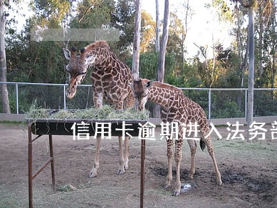 信用卡逾期进入法务部了 信用卡逾期进入法务部了
