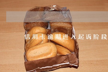 信用卡逾期进入起诉阶段 信用卡逾期进入起诉阶段