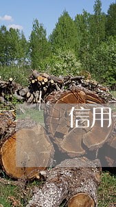 信用卡逾期进入黑名单会怎样