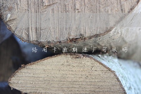 信用卡逾期进厂可以吗 信用卡逾期进厂可以吗