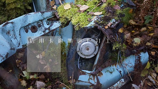 信用卡逾期进厂打工 信用卡逾期进厂打工