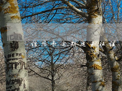 信用卡逾期进去征信 信用卡逾期进去征信