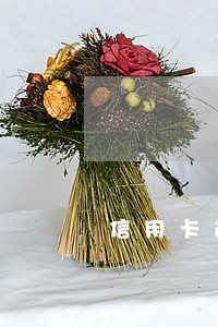信用卡逾期进监狱全过程