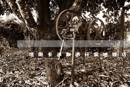 信用卡逾期进行实地核访
