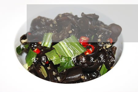 信用卡逾期违交怎么处罚中国 信用卡逾期违交怎么处罚中国