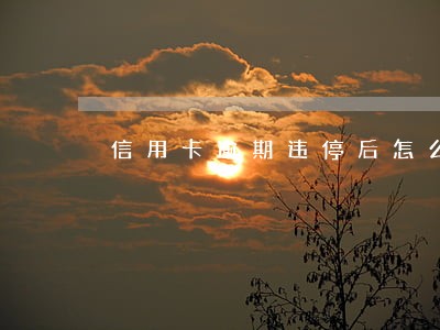 信用卡逾期违停后怎么处理 信用卡逾期违停后怎么处理