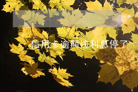信用卡逾期违利息停了