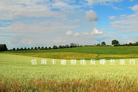 信用卡逾期违反哪些条约 信用卡逾期违反哪些条约