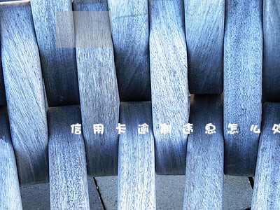 信用卡逾期违息怎么处理广发 信用卡逾期违息怎么处理广发