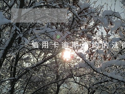 信用卡逾期违约的法律后果 信用卡逾期违约的法律后果