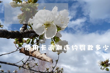 信用卡逾期违约罚款多少 信用卡逾期违约罚款多少