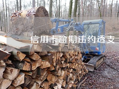 信用卡逾期违约透支 信用卡逾期违约透支