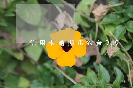 信用卡逾期违约金99 信用卡逾期违约金99
