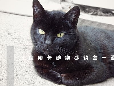 信用卡逾期违约金一直在涨怎么办
