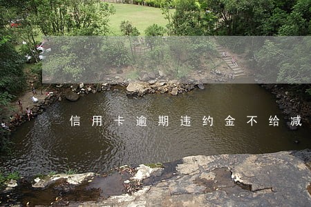 信用卡逾期违约金不给减免吗