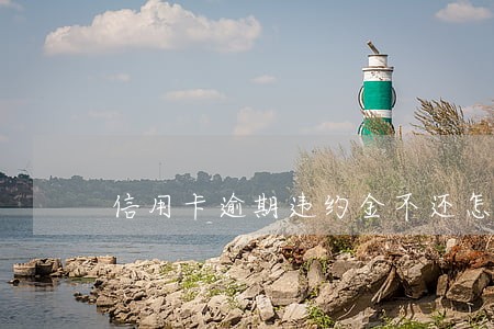 信用卡逾期违约金不还怎么办 信用卡逾期违约金不还怎么办