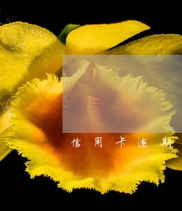 信用卡逾期违约金会一直涨嘛