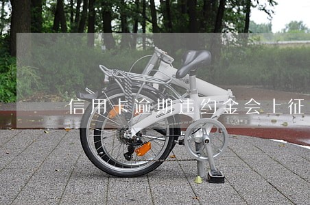 信用卡逾期违约金会上征信 信用卡逾期违约金会上征信