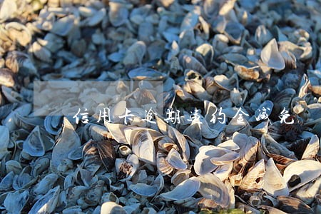 信用卡逾期违约金减免 信用卡逾期违约金减免