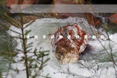 信用卡逾期违约金利息规定