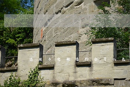 信用卡逾期违约金可以免除吗 信用卡逾期违约金可以免除吗