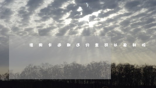 信用卡逾期违约金可以复利吗 信用卡逾期违约金可以复利吗