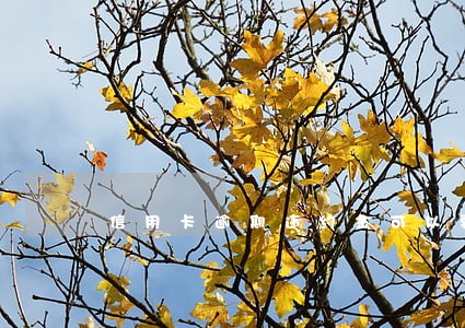 信用卡逾期违约金可以要回来吗 信用卡逾期违约金可以要回来吗