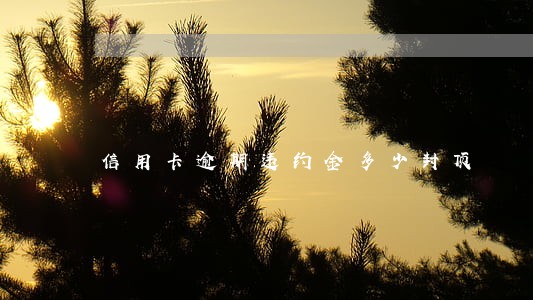 信用卡逾期违约金多少封顶
