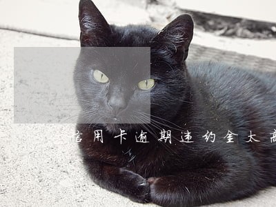 信用卡逾期违约金太高还不起怎么办 信用卡逾期违约金太高还不起怎么办