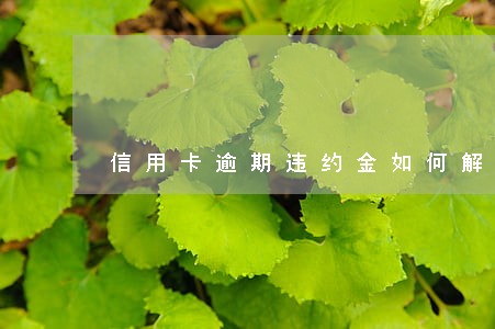 信用卡逾期违约金如何解决 信用卡逾期违约金如何解决