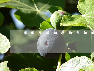 信用卡逾期违约金如何返还