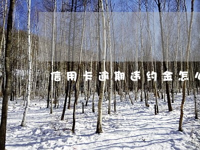 信用卡逾期违约金怎么扣的