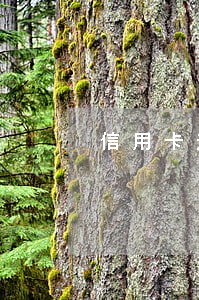 信用卡逾期违约金怎么算6 信用卡逾期违约金怎么算6