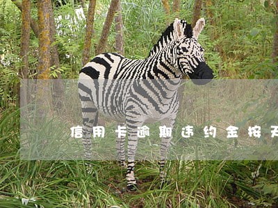 信用卡逾期违约金按天还是按月收 信用卡逾期违约金按天还是按月收