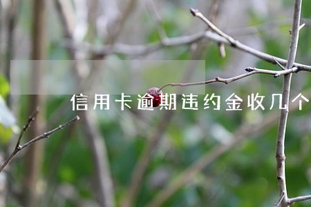 信用卡逾期违约金收几个月 信用卡逾期违约金收几个月