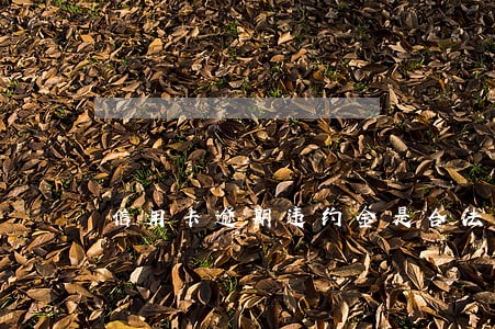信用卡逾期违约金是合法的吗 信用卡逾期违约金是合法的吗